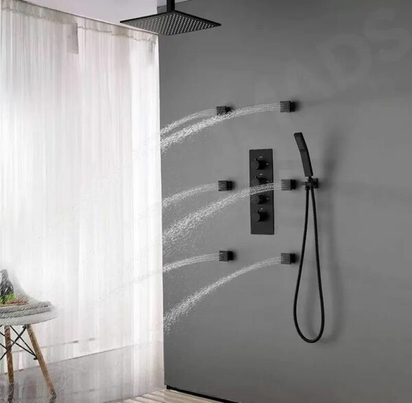 ceiling shower system