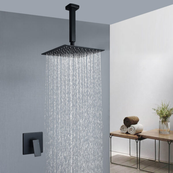 Ceiling Shower